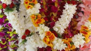 My Chinatown, With Aloha — foto 1