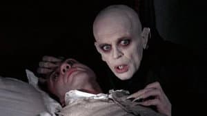 Nosferatu, el vampiro — foto 6