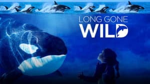Long Gone Wild — foto 2