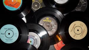 The Joy Of The Single — foto 1