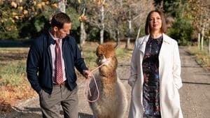 El parque de diversiones