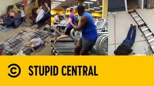 Stupid Central — foto 1