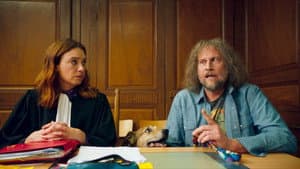 El juicio del perro — foto 7