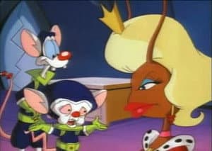 Episodio 14