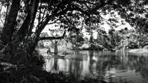 Phantosmia — foto 10