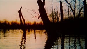 The Legend of Boggy Creek — foto 9