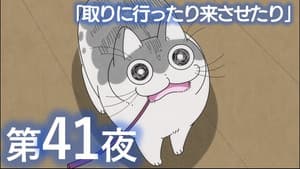 Episodio 41