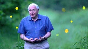 Attenborough's Life That Glows — foto 2