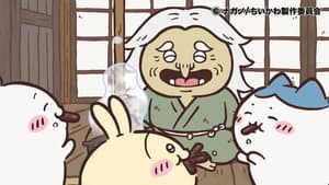 Episodio 307