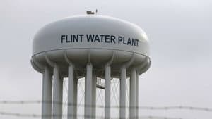 Flint — foto 1