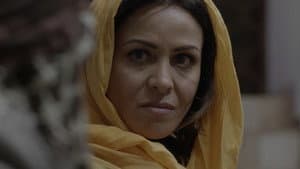 Episodio 15