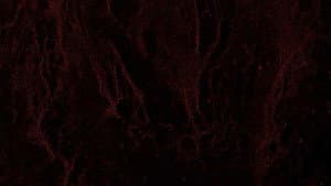 Hinterlands — foto 3