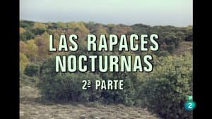 Episodio 51