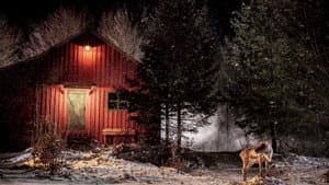 Prancer: un cuento de Navidad — foto 2