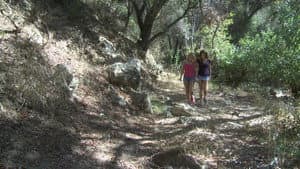 Bigfoot Horror Camp — foto 1