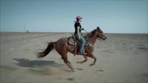 Rodeo Girls — foto 4