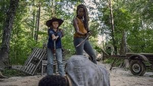 Episodio 8