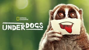 Underdogs — foto 5