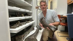 Into Dinosaur Valley with Dan Snow — foto 2
