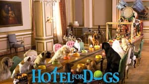 Hotel para Perros — foto 11