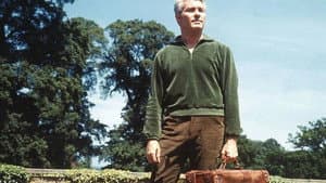 Man in a Suitcase — foto 4