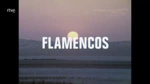 Episodio 89