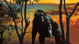 Le Bestiaire d'amour — foto 1