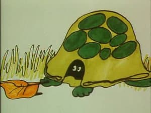 Episodio 16