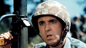 Gomer Pyle, U.S.M.C. — foto 4