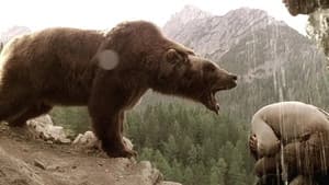 El oso — foto 6