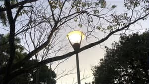 Twenty Skies — foto 5