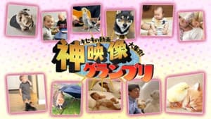 キセキの動画大集合！“神”映像グランプリ — foto 1