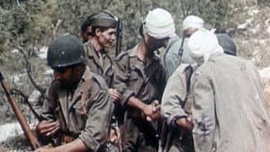 Algérie en flammes — foto 1