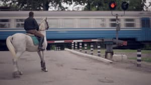 Сірі коні — foto 1