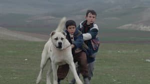 Sivas — foto 2
