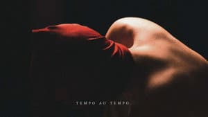 TARA (C) — foto 1