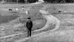 Зайда — foto 3