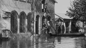 Lyon : sauvetage de lapins — foto 1
