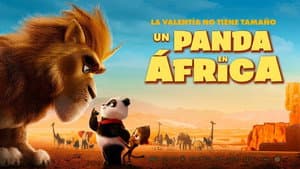 Un panda en África — foto 7