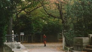 やわらかい生活 — foto 12