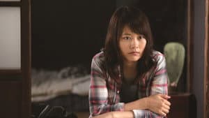 夏美のホタル — foto 1