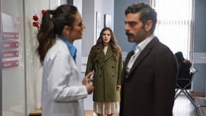 Episodio 8