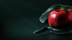 Bible Secrets Revealed — foto 4