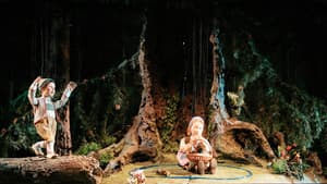 Salzburger Marionettentheater: Hänsel & Gretel — foto 1