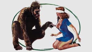 Schlock — foto 2
