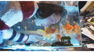 三夫 — foto 3