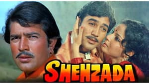 Shehzada — foto 1