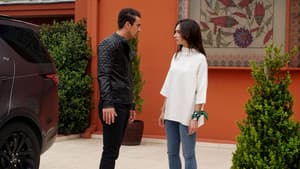 Episodio 26