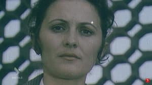 Në shtëpinë tonë — foto 1
