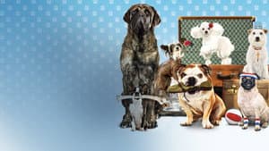 Hotel para Perros — foto 4